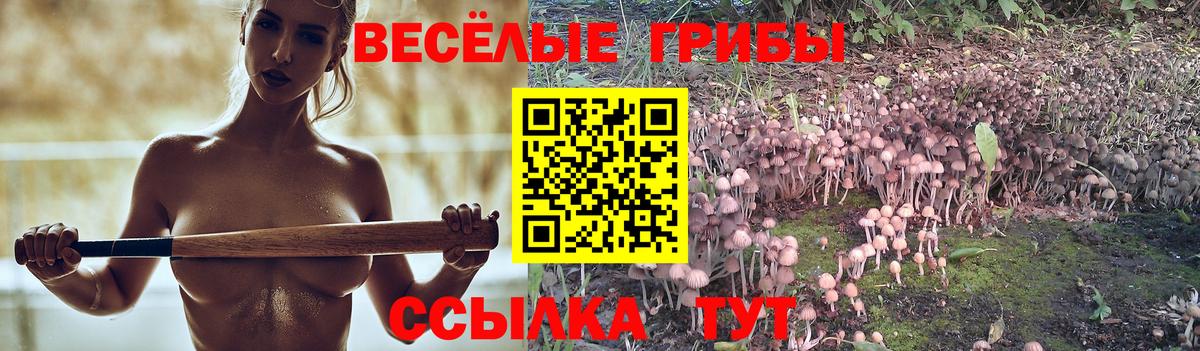 Галлюциногенные грибы Psilocybine cubensis Еманжелинск