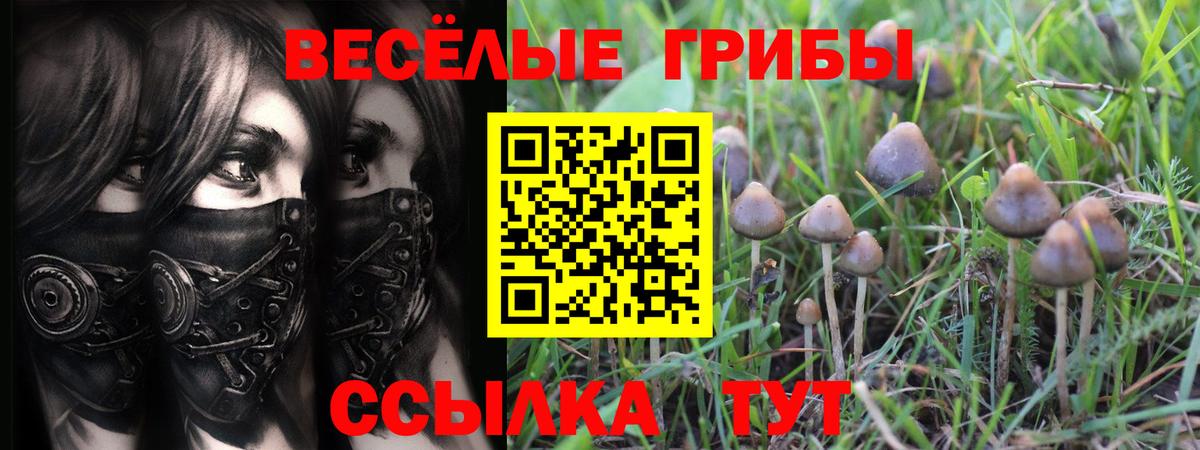 дарнет шоп  Вход с VPN  Еманжелинск  Псилоцибиновые грибы мицелий 